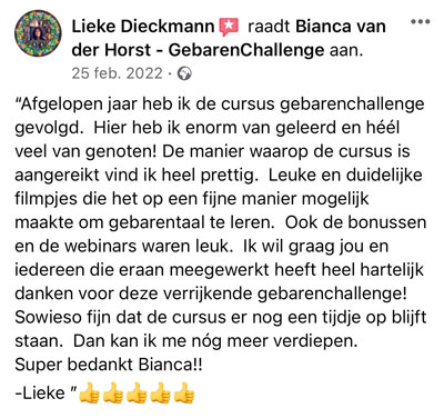 Gebaren-Challenge-review-1